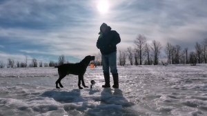 30 марта. Заключительная серия эпопеи "Колхозная яма".