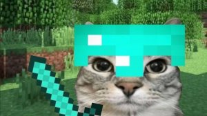 Что я развелся на анархии о******?