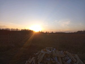 мультик лев