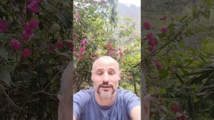 ❤️Рыба которая не умеет плавать...