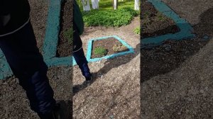 обзор на огород