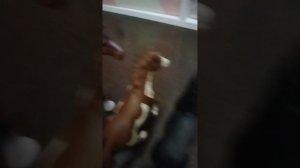 Шляйх сериал подружки на вечно 1 серия 1сезона