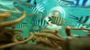 Снорклинг на Фукуоке