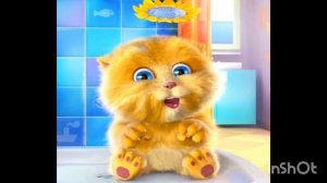 кот рыжик учит счетать до 10 смешной котик