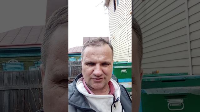 4 апреля 26 года пересадка пчел