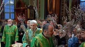 Освящение вербы