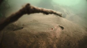 Осень, осень...