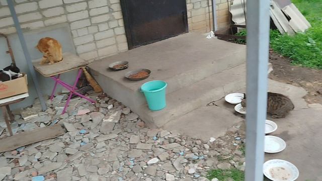 Новости нашего двора. 