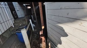 ВОЗНИКЛИ ПРОБЛЕМЫ ПРИ ПОДГОТОВКЕ К ОБРАБОТКЕ КОЗ. ПОЧЕМУ МЫ НЕ УЕХАЛИ В С.СУККО.