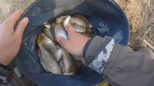 Эффективный Мормышинг НА ПЛОТВУ! Рыбалка на бюджетный спиннинг