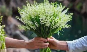 ВЕСНА,ЛЮБОВЬ И ЭТИ ЛАНДЫШИ! ВСЕ ДЛЯ ТЕБЯ,ЛЮБИМАЯ!