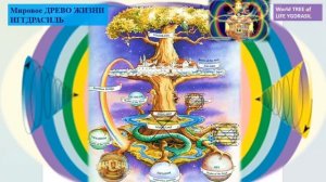 03.04.2026 Сонастройка на поток творения дня