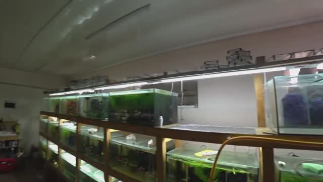 Сливаю воду