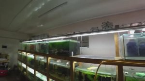 Сливаю воду