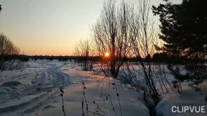 ТЯНЕТ НЕСПРОСТА В ЗАПОВЕДНЫЕ МЕСТА