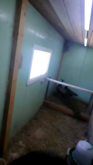 1000013889.mp4Привет с Бурятии.04.04.2026г.