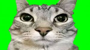 1 часть 1 серия породия на осд
