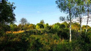 Прекрасные воспоминания...