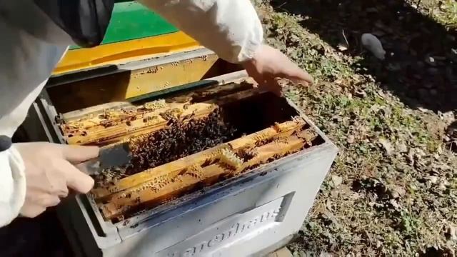 4апреля ПОДМОСКОВНЫЙ ТОЧЕК