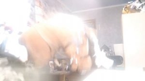 тренировка дома на хоббизорсе Аглае