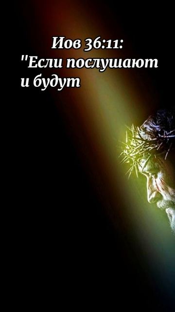 Слово Божье на каждый день- книга Иова