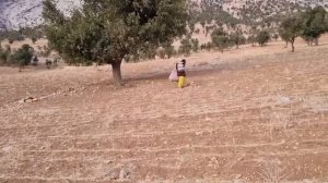 История о сопротивлении матери судьбе.