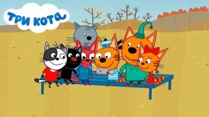 Три Кота / Развивающая Игра Для Детей. Игра Мультфильм Для Детей