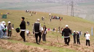 Десятки тысяч зеленых саженцев высадили на экофестивале в Кыргызстане