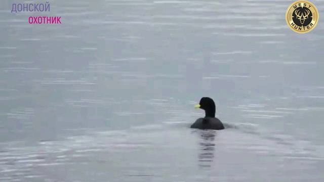 Оптический прицел  3-12x44 IR SFP