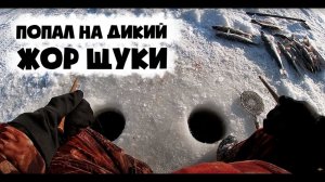 Огромная Куча Щуки. Ловлю Сразу Двумя Руками. Лучшая Русская Рыбалка на Амуре 2026 Рыбалка Онлайн