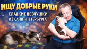 Ищу Добрые руки. Сладкие девчушки из Санкт-Петербурга.