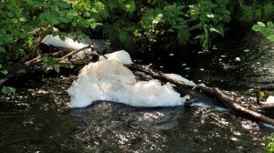 Свежая река