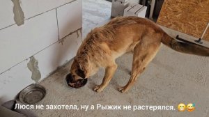 91.Новый этап жизни