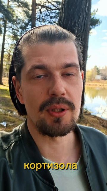 🧠 Гедоническая адаптация: почему монотонность убивает радость жизни