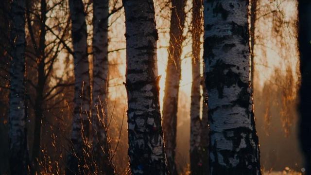 Веселый март  / ИИ клип / стихи Ольги Куликовой /