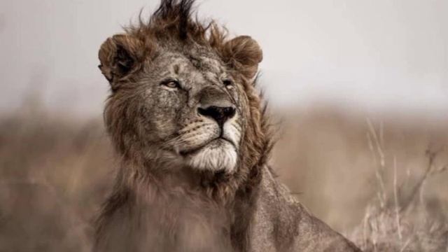 М.860)) Сражаемся по Писанию.