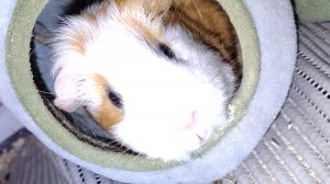 делаем мыло часть 1