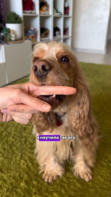 А вы что думаете?❤️