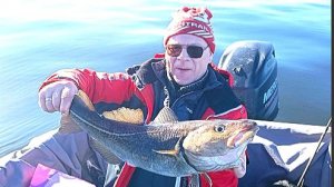 Приехали на рыбалку в Калининград. Треска на Балтийском море + залив. Как прошел выезд с гидом