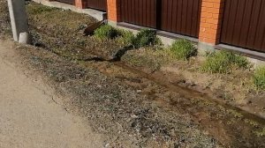 4.04.2026.Ляховский край.Уно-Моменто!25/7/365. Губернаторский. Ляхово TиVи. Усадьба Парк Кинематогра