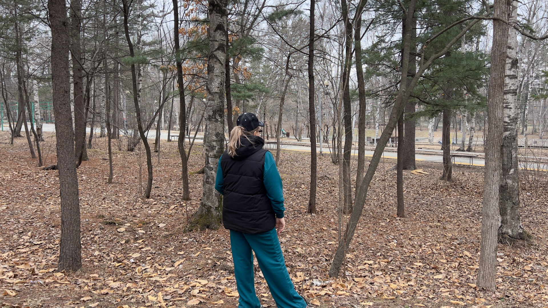 Доброе субботнее утро! Пение птиц в парке.Оказывается, с утра можно сделать многое!