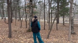 Доброе субботнее утро! Пение птиц в парке.Оказывается, с утра можно сделать многое!