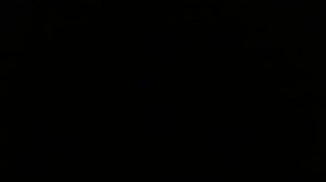 винни-пух
 все-все киска