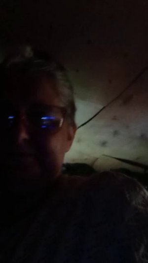 я и мои друзья - питомцы, наш 🫜 огород,весенние цветы и семена томатов и кабачков