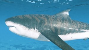 ДИНОЗАВРЫ обитатели МОРЕЙ и ОКЕАНОВ | мир юрского периода.