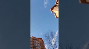 Баскетболл! 🏀