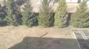 што на улиццы?