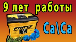 Даигностика девятилетнего кальциевого аккумулятора Финал