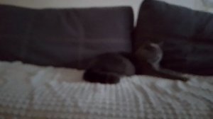 Знакомство.mp4