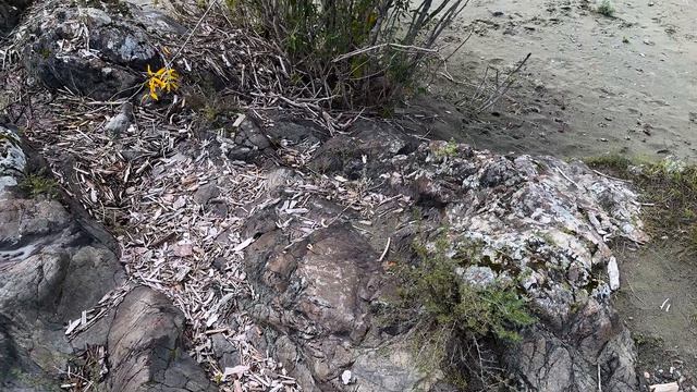 Алтай-25_12 сентября